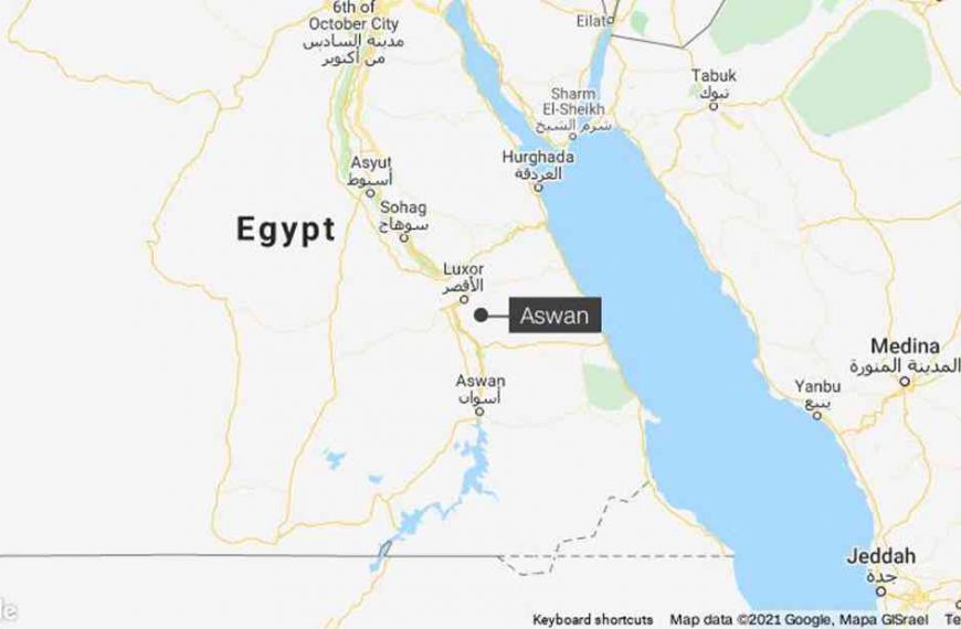 Egyptian scorpion swarm kills three people, paralyzes two