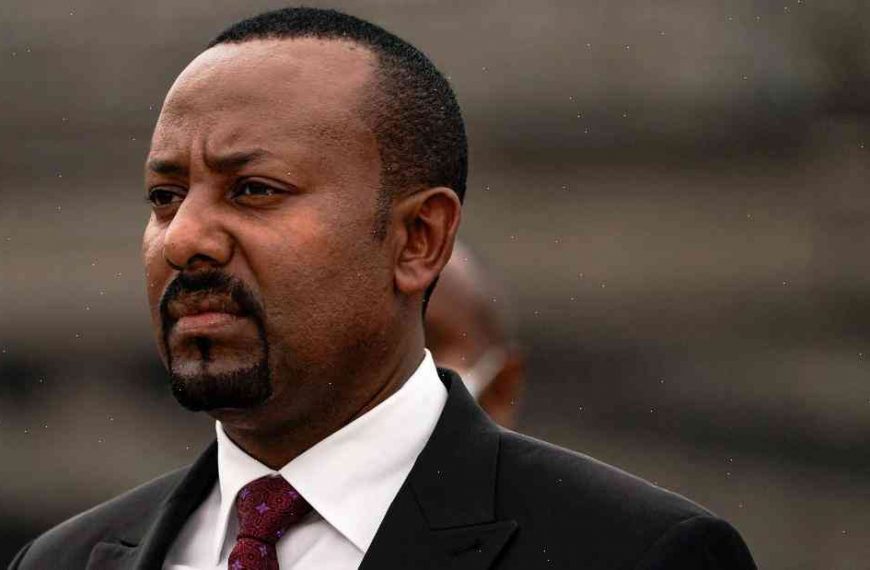 Ethiopian opposition party leader: ‘Somalia’s al Shabaab’ responsible for all murders